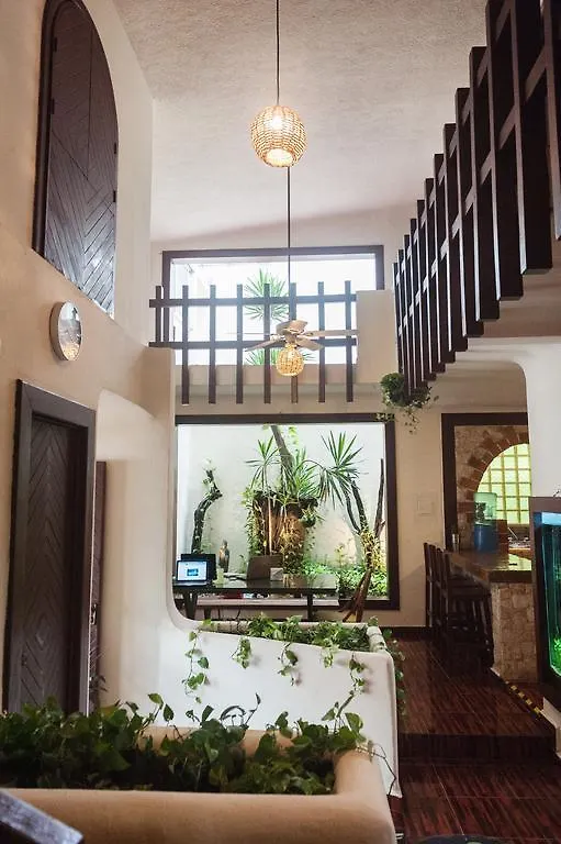Hostel The Arrival Hostal Cancun