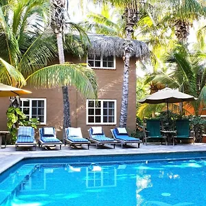The Hotel Cabo San Lucas